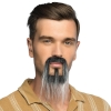 Broda z wąsami siwa 01856