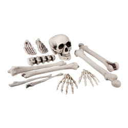 Kości szkieleta  małe  12 szt. 72157 wymiary opakowania 27x16 cm