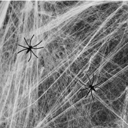 Pajęczyna Biała 60 g 11802