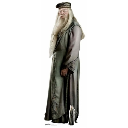 Postać Kartonowa 21042 Albus Dumbledore